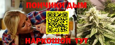 крисы Ирбит